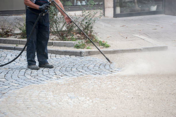Best Sidewalk and Walkway Cleaning  in Cottonwood, AL